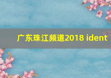 广东珠江频道2018 ident